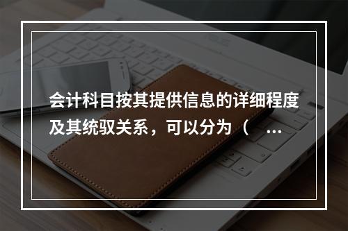 会计科目按其提供信息的详细程度及其统驭关系，可以分为（　　）