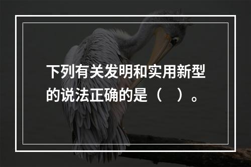 下列有关发明和实用新型的说法正确的是（　）。