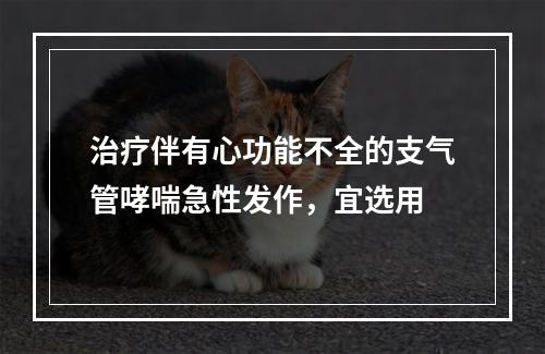 治疗伴有心功能不全的支气管哮喘急性发作，宜选用