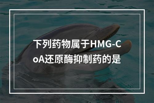 下列药物属于HMG-CoA还原酶抑制药的是