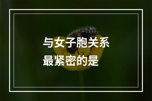 与女子胞关系最紧密的是