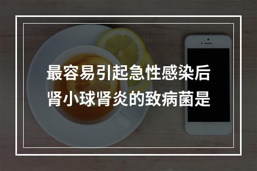 最容易引起急性感染后肾小球肾炎的致病菌是