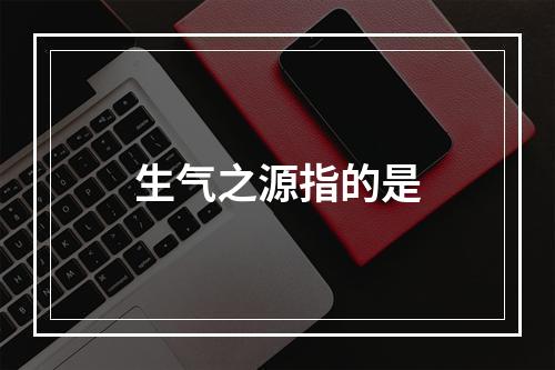 生气之源指的是