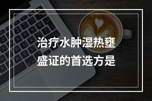 治疗水肿湿热壅盛证的首选方是