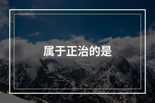 属于正治的是