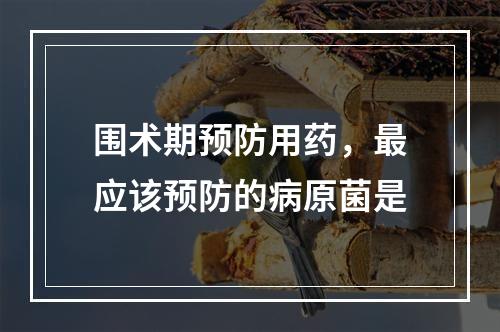 围术期预防用药，最应该预防的病原菌是