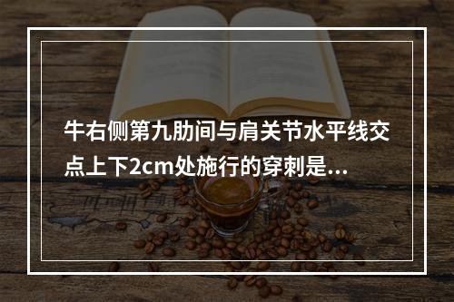 牛右侧第九肋间与肩关节水平线交点上下2cm处施行的穿刺是（