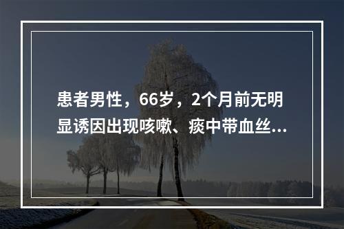 患者男性，66岁，2个月前无明显诱因出现咳嗽、痰中带血丝，双