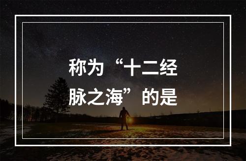 称为“十二经脉之海”的是