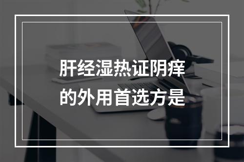 肝经湿热证阴痒的外用首选方是