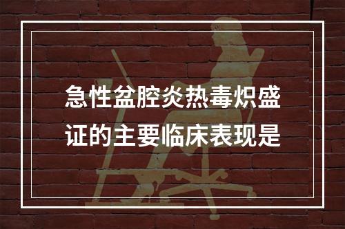 急性盆腔炎热毒炽盛证的主要临床表现是