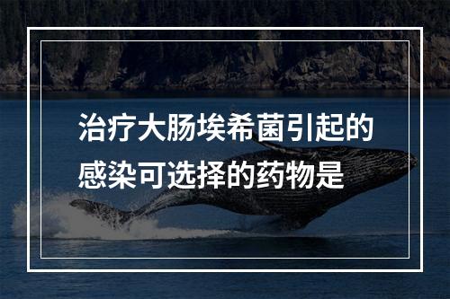 治疗大肠埃希菌引起的感染可选择的药物是