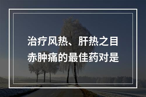 治疗风热、肝热之目赤肿痛的最佳药对是