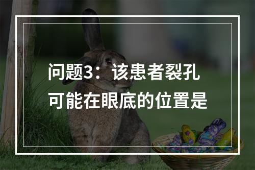 问题3：该患者裂孔可能在眼底的位置是