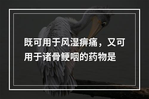 既可用于风湿痹痛，又可用于诸骨鲠咽的药物是