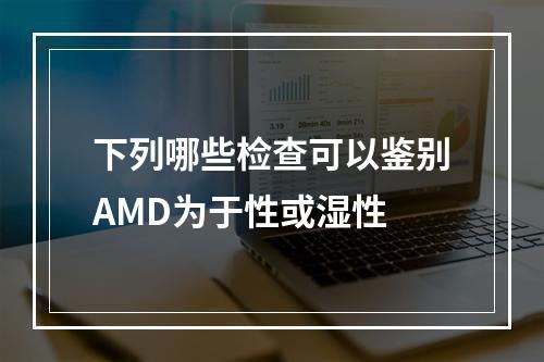 下列哪些检查可以鉴别AMD为于性或湿性