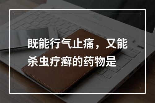 既能行气止痛，又能杀虫疗癣的药物是