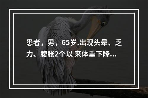 患者，男，65岁.出现头晕、乏力、腹胀2个以 来体重下降6