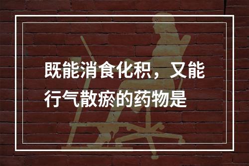 既能消食化积，又能行气散瘀的药物是