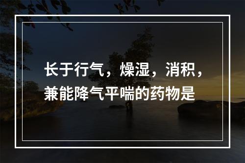 长于行气，燥湿，消积，兼能降气平喘的药物是