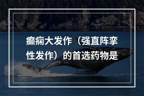 癫痫大发作（强直阵挛性发作）的首选药物是