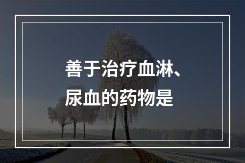 善于治疗血淋、尿血的药物是