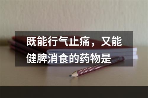 既能行气止痛，又能健脾消食的药物是