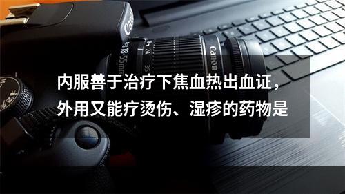 内服善于治疗下焦血热出血证，外用又能疗烫伤、湿疹的药物是