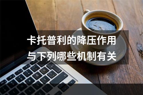 卡托普利的降压作用与下列哪些机制有关