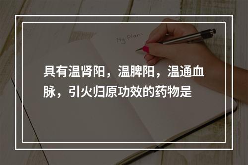 具有温肾阳，温脾阳，温通血脉，引火归原功效的药物是