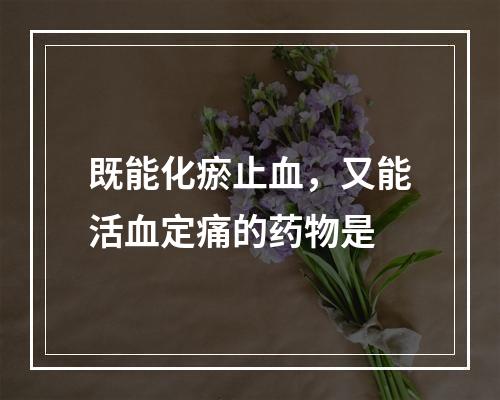 既能化瘀止血，又能活血定痛的药物是