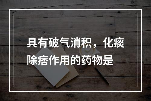 具有破气消积，化痰除痞作用的药物是