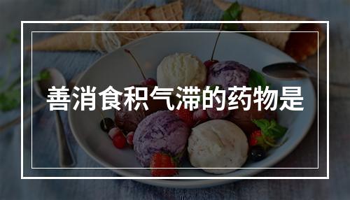 善消食积气滞的药物是