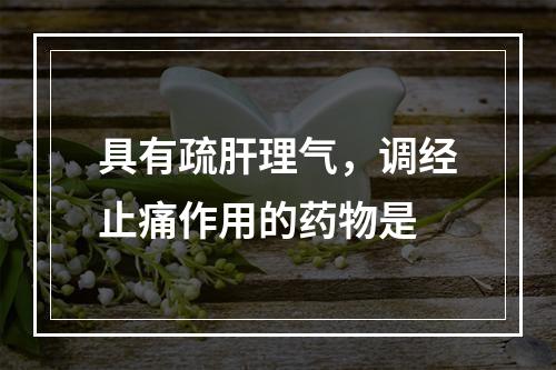 具有疏肝理气，调经止痛作用的药物是