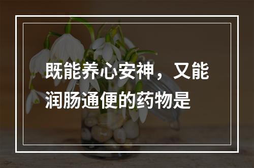 既能养心安神，又能润肠通便的药物是