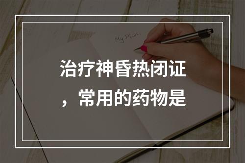 治疗神昏热闭证，常用的药物是