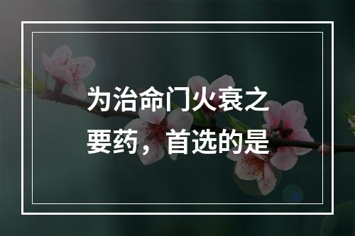 为治命门火衰之要药，首选的是