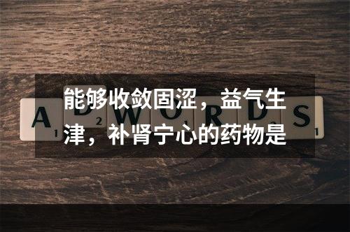 能够收敛固涩，益气生津，补肾宁心的药物是