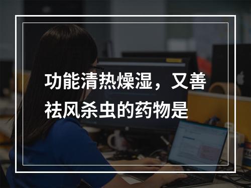 功能清热燥湿，又善祛风杀虫的药物是