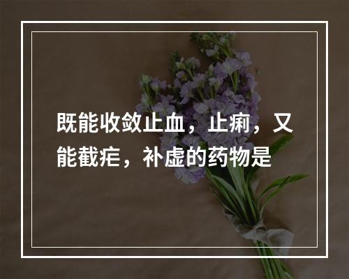 既能收敛止血，止痢，又能截疟，补虚的药物是