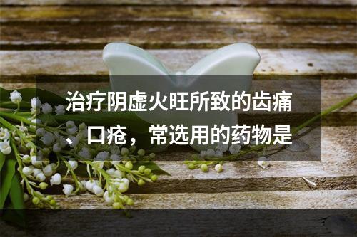 治疗阴虚火旺所致的齿痛、口疮，常选用的药物是