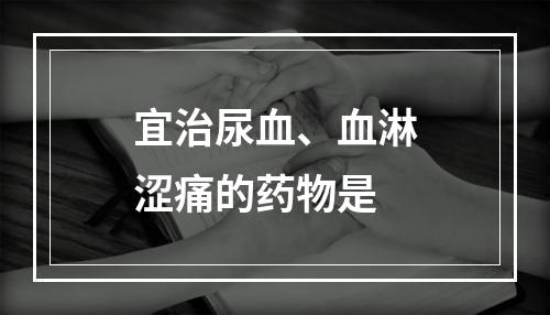 宜治尿血、血淋涩痛的药物是