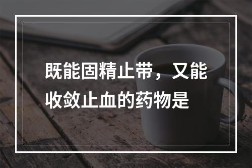 既能固精止带，又能收敛止血的药物是