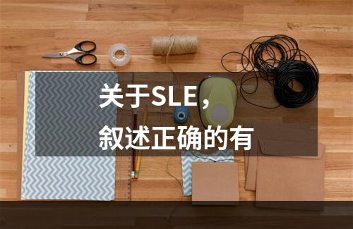 关于SLE，叙述正确的有