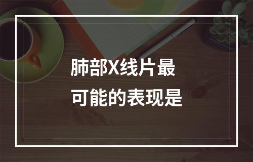 肺部X线片最可能的表现是