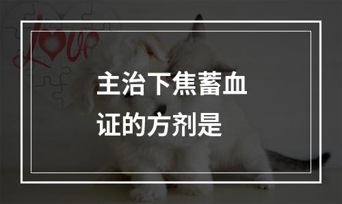 主治下焦蓄血证的方剂是