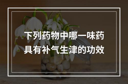 下列药物中哪一味药具有补气生津的功效