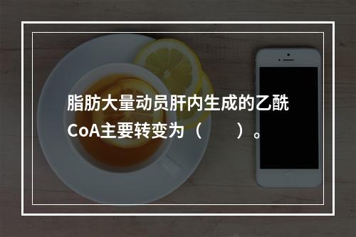 脂肪大量动员肝内生成的乙酰CoA主要转变为（　　）。