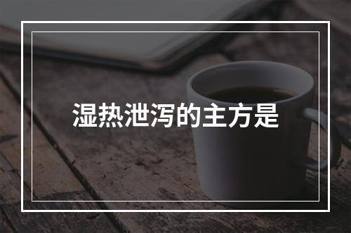 湿热泄泻的主方是