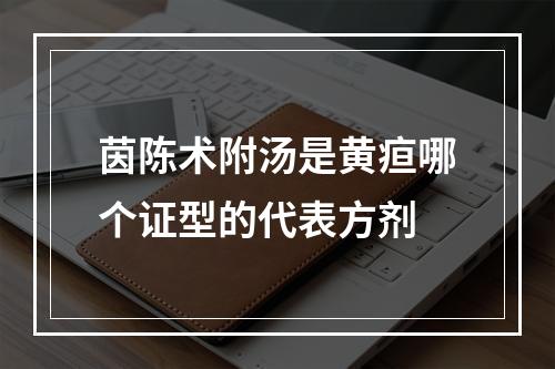 茵陈术附汤是黄疸哪个证型的代表方剂